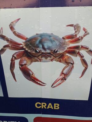 Frozen Crab