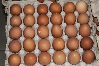 Fresh Eggs (Crate of 30)