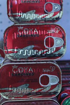Coya Sardines in Vegetable Oil