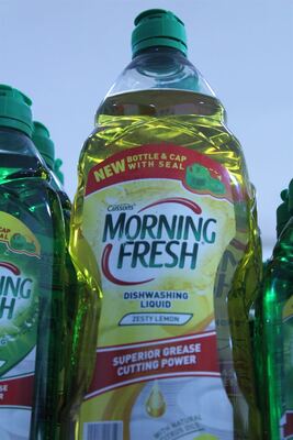 Morning Fresh Zesty Lemon Dishwashing Liquid