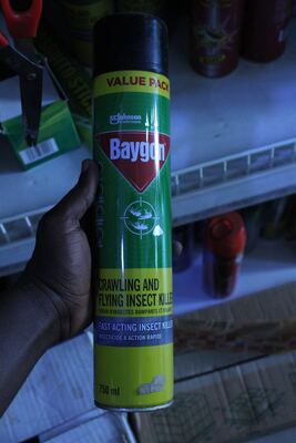 Baygon Crawling and Flying Insect Killer (750ml)