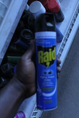 Raid Flying Insect Killer